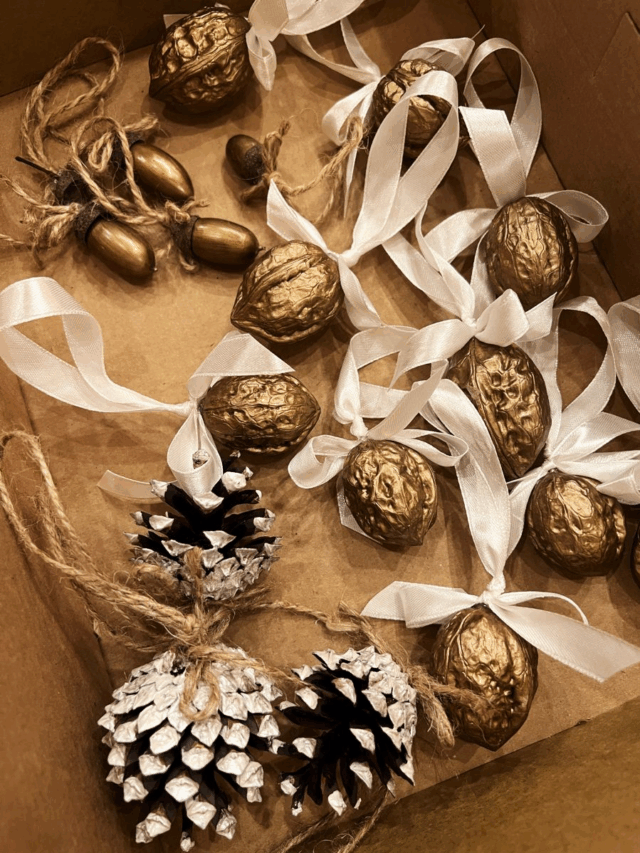 5 Creative Walnut Shell Decor Ideas to Elevate Your Home Naturally